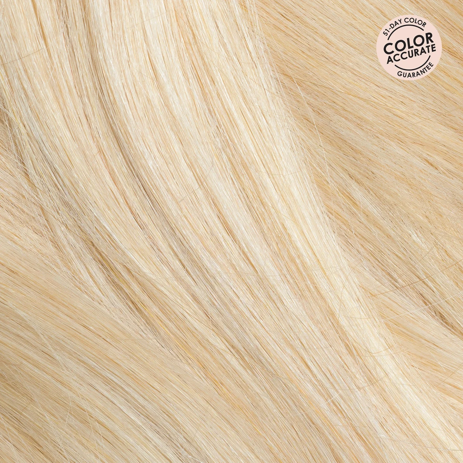 Ash Blonde colour swatch