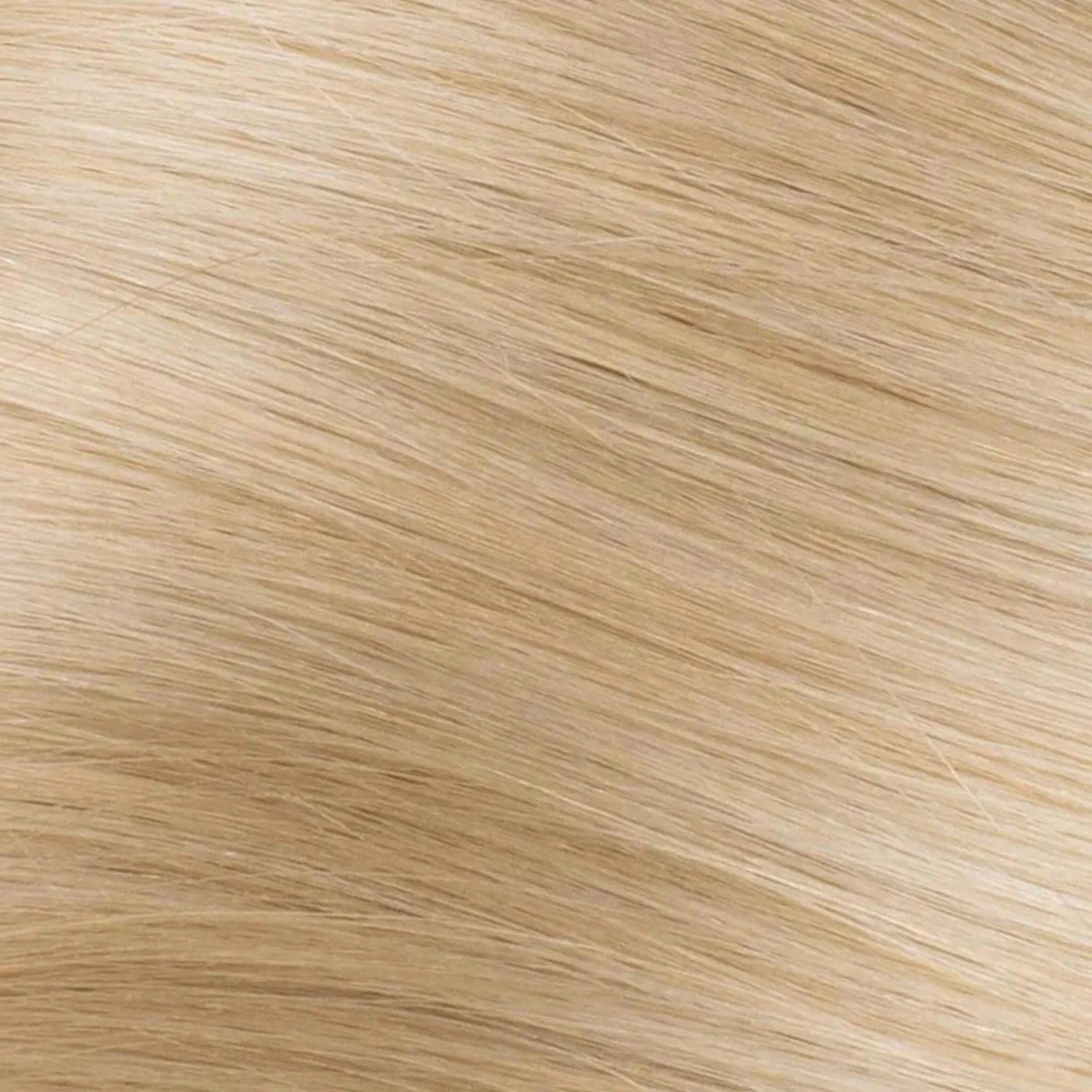 Colour swatch 10/16/60, Sweet Blonde
